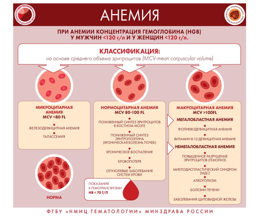 Заболевание системы крови — ГБУЗ 