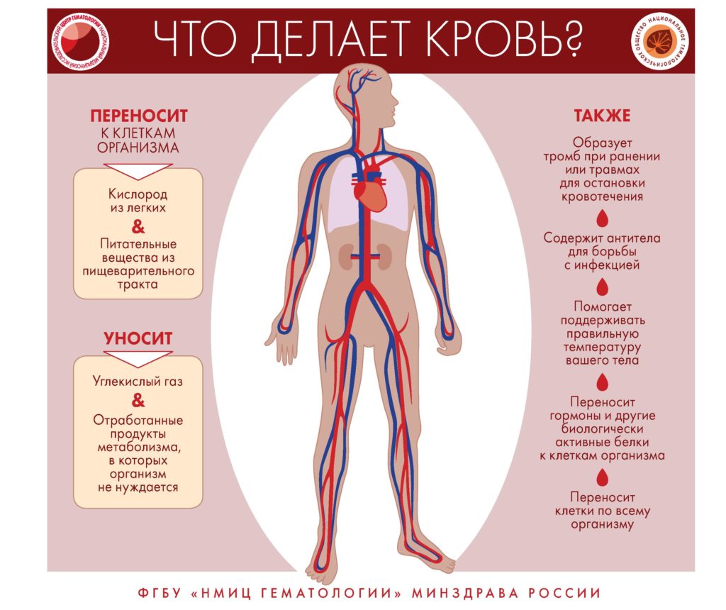 Заболевание системы крови — ГБУЗ 